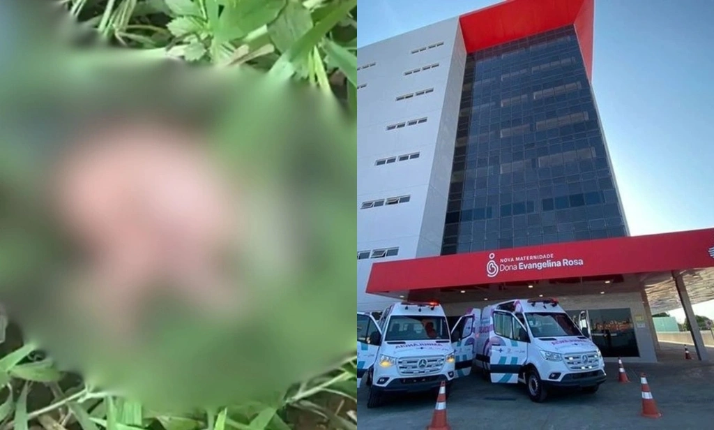 Recém-nascida resgatada em matagal é transferida para maternidade em Teresina