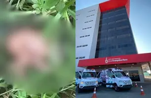 Recém-nascida resgatada em matagal é transferida para maternidade em Teresina (Foto: Reprodução)