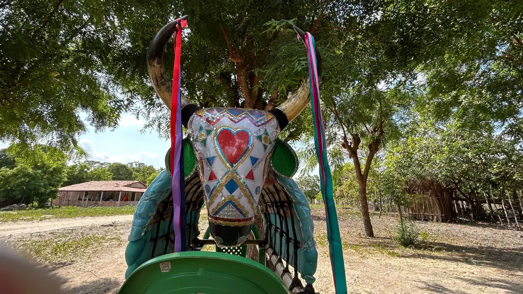 Reisado de Boa Hora