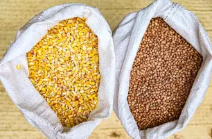 SAF realiza distribuição de sementes crioulas para agricultores familiares (Foto: Reprodução/ SAF)