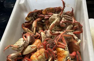 Semarh autua estabelecimentos e apreende 15 kg de caranguejo durante operação (Foto: Reprodução)