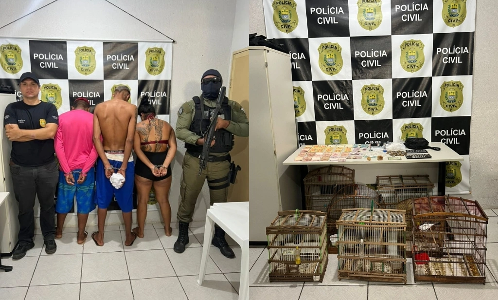 Trio é preso em flagrante em Buriti dos Lopes com drogas e animais silvestres