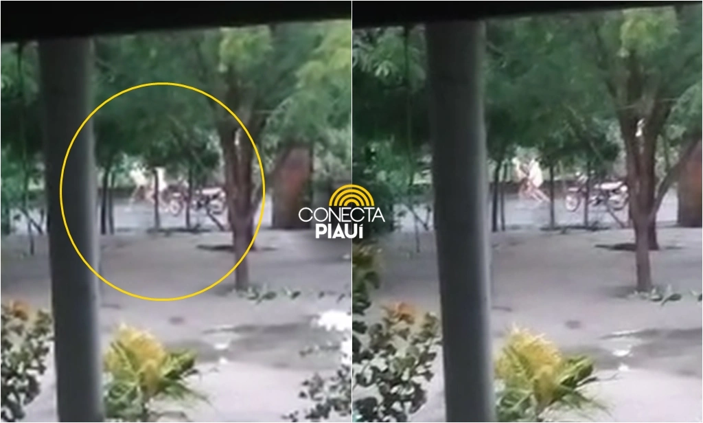 Vídeo: mulher é agredida na frente de criança na zona rural de Monsenhor Gil