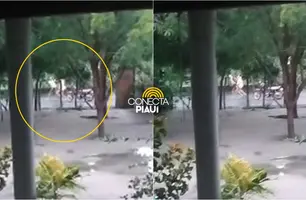 Vídeo: mulher é agredida na frente de criança na zona rural de Monsenhor Gil (Foto: Conecta Piauí)