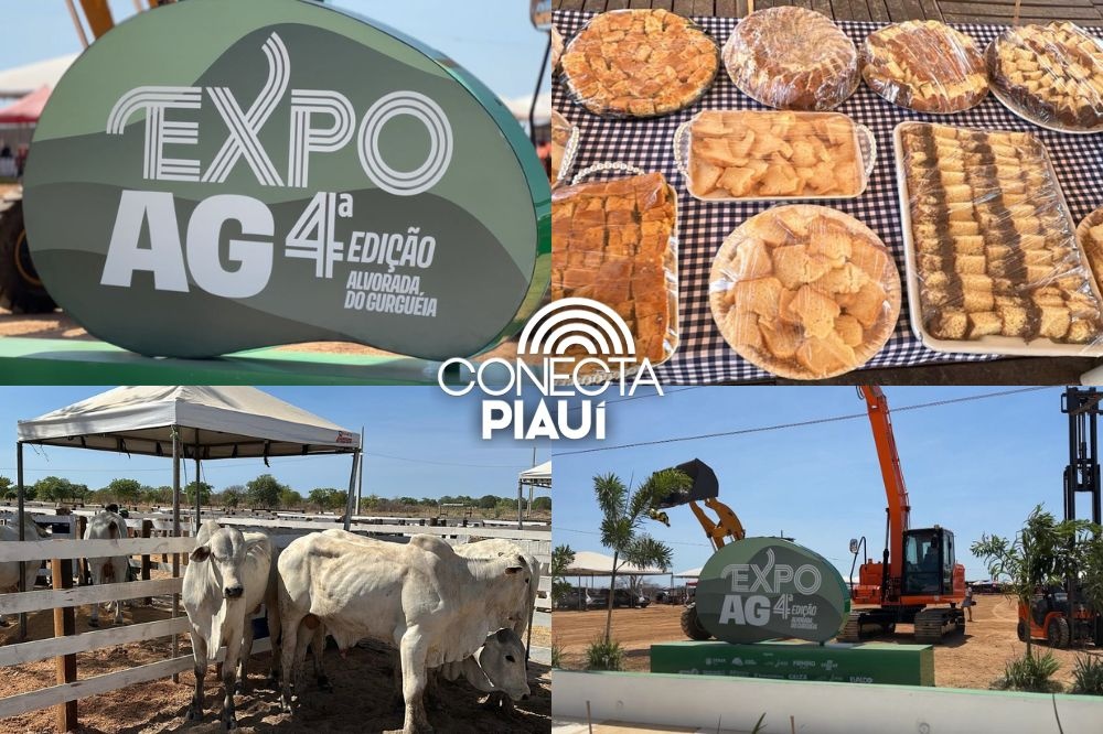 4ª Expoag Alvorada do Gurguéia celebra o agronegócio e o desenvolvimento regional