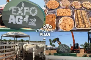 4ª Expoag Alvorada do Gurguéia celebra o agronegócio e o desenvolvimento regional (Foto: Conecta Piauí)