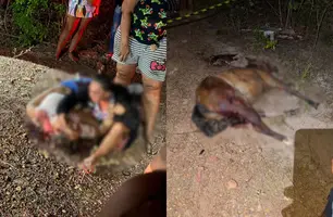 Acidente entre caminhão e carroça mata homem e fere esposa e filha no Piauí (Foto: Reprodução)