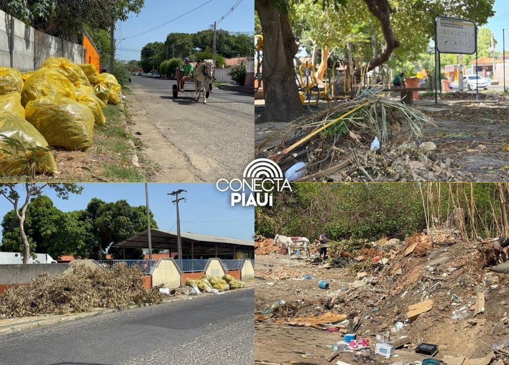 Amontoados de lixos demonstra descaso em vários bairros de Teresina