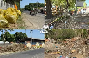Amontoados de lixos demonstra descaso em vários bairros de Teresina (Foto: Conecta Piauí)