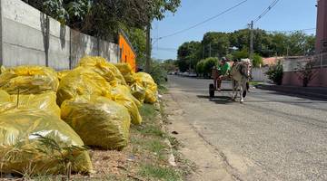 Amontoados de lixos demonstra descaso em vários bairros de Teresina (Foto: Conecta Piauí) Amontoados de lixos demonstra descaso em vários bairros de Teresina (Foto: Conecta Piauí)