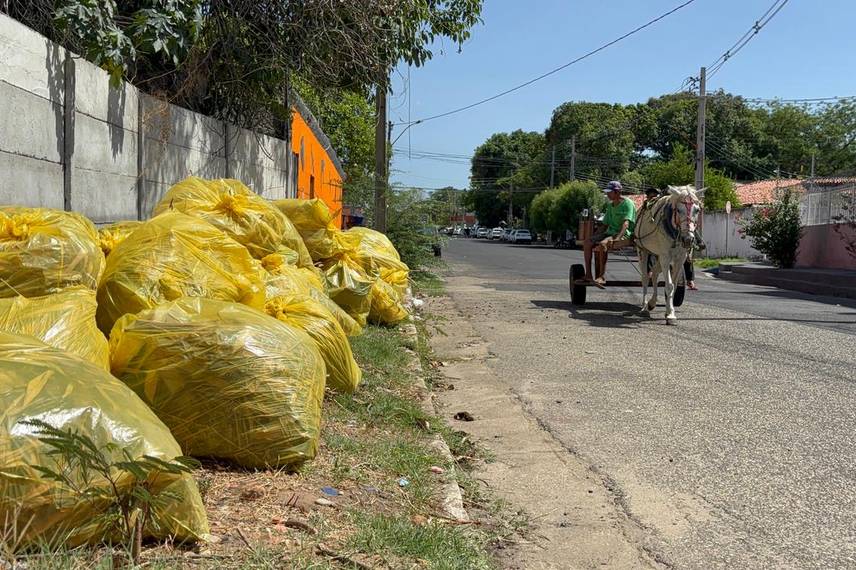 Amontoados de lixos demonstra descaso em vários bairros de Teresina Amontoados de lixos demonstra descaso em vários bairros de Teresina