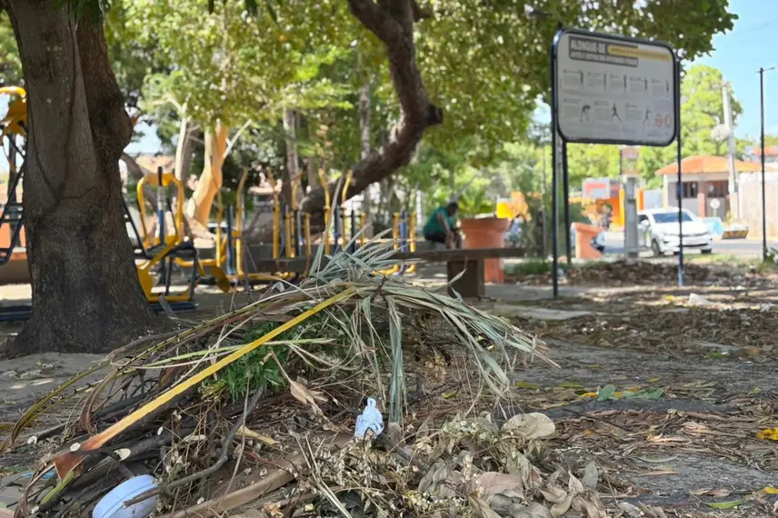 Amontoados de lixos demonstra descaso em vários bairros de Teresina