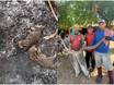 Animais vulneráveis à extinção são vítimas de queimadas no Norte do Piauí Animais vulneráveis à extinção são vítimas de queimadas no Norte do Piauí
