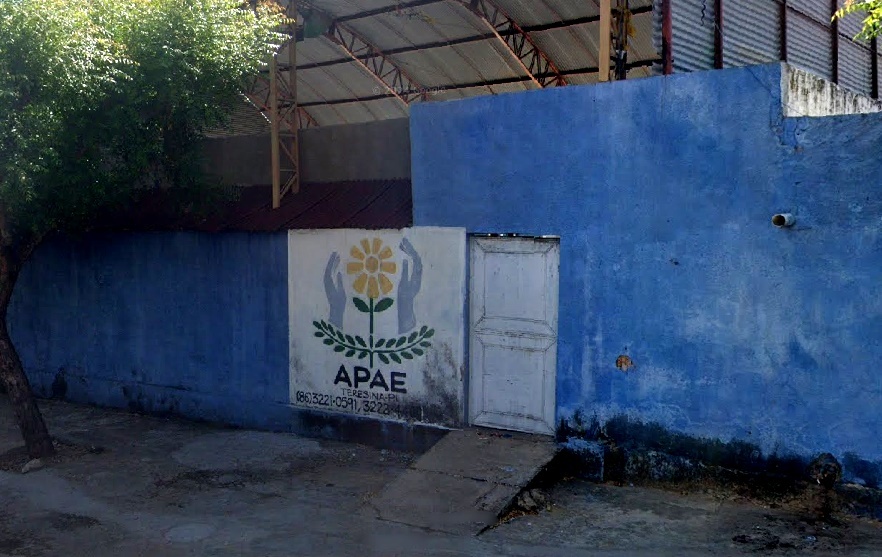 Apae Teresina