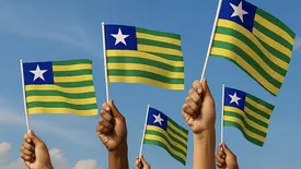 Bandeira do Piauí (Foto: Reprodução)