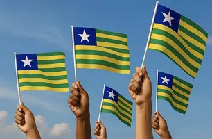 Bandeira do Piauí (Foto: Reprodução)