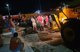 Boi é resgatado após cair em fossa no litoral do Piauí (Foto: Reprodução)