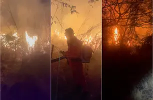 Bombeiros controlam incêndio que devastou 130 hectares em Batalha (Foto: Reprodução)