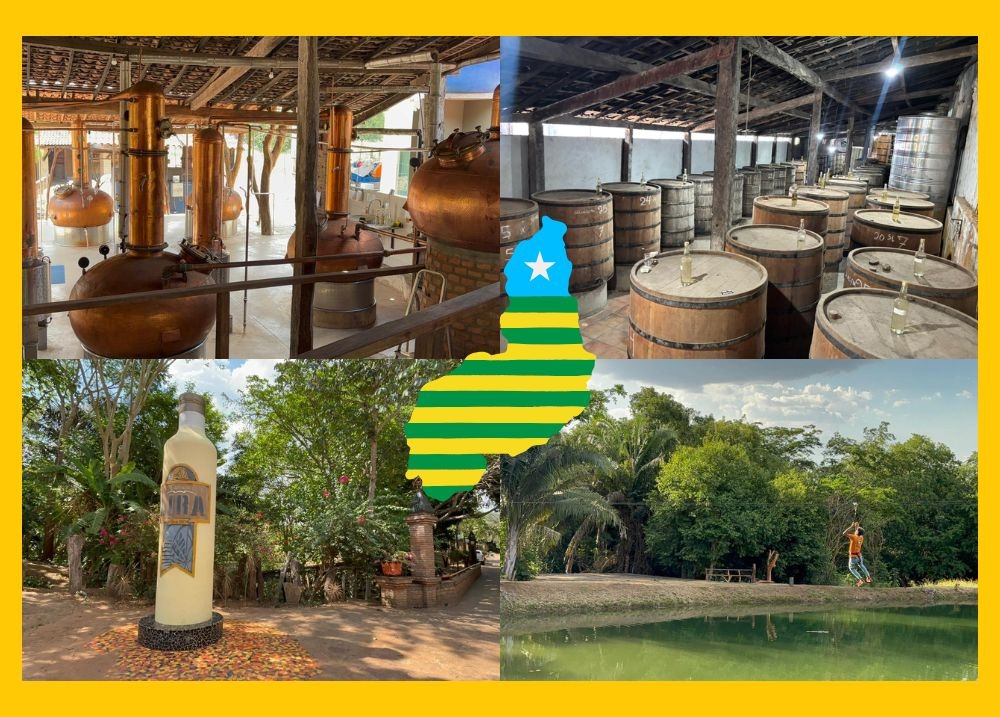 Cachaça Lira: tradição centenária do Piauí une sabor, história e natureza