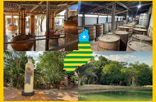 Cachaça Lira: tradição centenária do Piauí une sabor, história e natureza (Foto: Reprodução) Cachaça Lira: tradição centenária do Piauí une sabor, história e natureza (Foto: Reprodução)