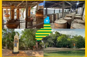 Cachaça Lira: tradição centenária do Piauí une sabor, história e natureza (Foto: Reprodução)
