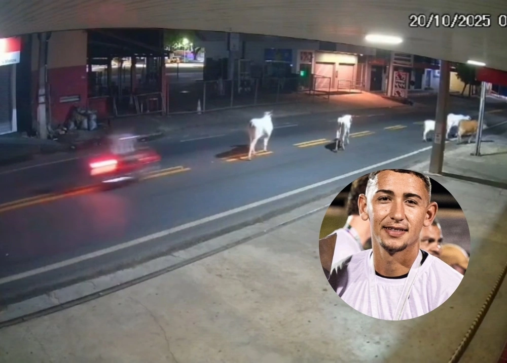 Câmera flagra momento de colisão contra vaca que deixou jogador morto em Altos