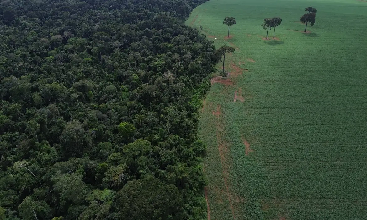 Caravana social e indígena vai à COP30 denunciar megaprojetos do agronegócio