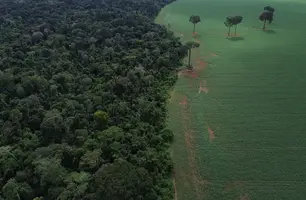 Caravana social e indígena vai à COP30 denunciar megaprojetos do agronegócio (Foto: Fernando Frazão/Agência Brasil)
