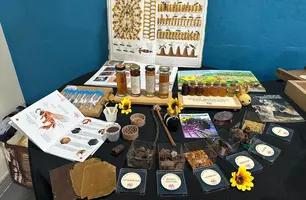 Codevasf apoia workshop piauiense que discute gestão e tecnologias na apicultura (Foto: Reprodução)