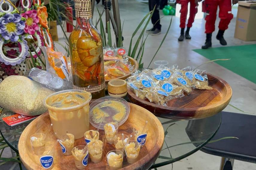 Conecta Piauí registra momentos do primeiro dia da Feira dos Municípios 2025 Conecta Piauí registra momentos do primeiro dia da Feira dos Municípios 2025