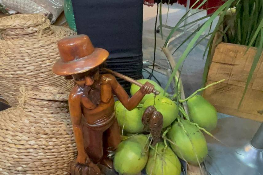 Conecta Piauí registra momentos do primeiro dia da Feira dos Municípios 2025 Conecta Piauí registra momentos do primeiro dia da Feira dos Municípios 2025