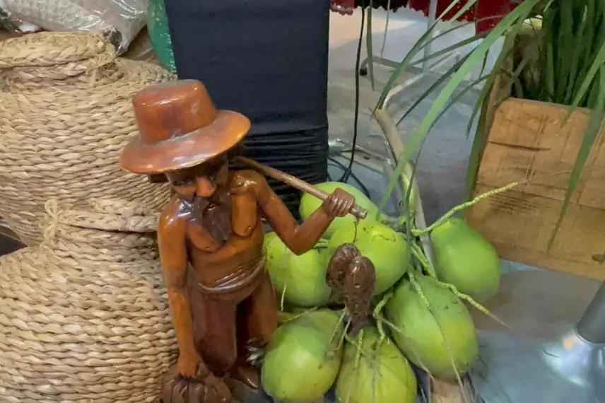 Conecta Piauí registra momentos do primeiro dia da Feira dos Municípios 2025