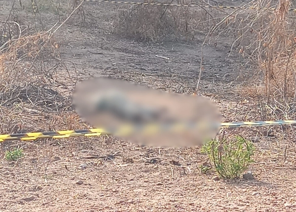 Corpo é encontrado em terreno na zona Norte de Teresina
