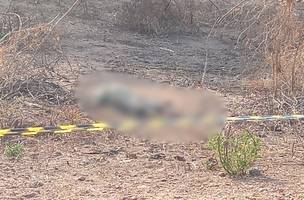 Corpo é encontrado em terreno na zona Norte de Teresina (Foto: Reprodução)