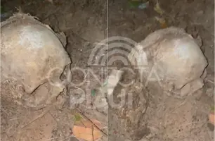Crânio humano com cabelo é encontrado no interior de Demerval Lobão (Foto: Reprodução)