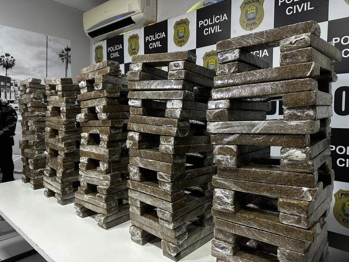 Delegados explicam como ônibus de turismo era usado para levar drogas ao Piauí