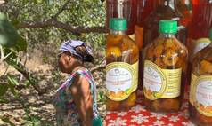 Do quintal para a feira: Dona Dalva transforma o caju em doces, geleias e sustento