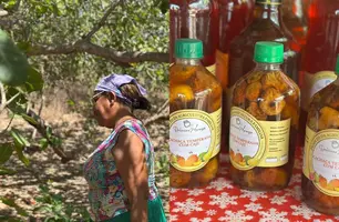 Do quintal para a feira: Dona Dalva transforma o caju em doces, geleias e sustento (Foto: Conecta Piauí)