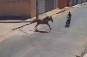Dono de cavalo que causou acidente em Floriano deve responder por homicídio (Foto: Reprodução)