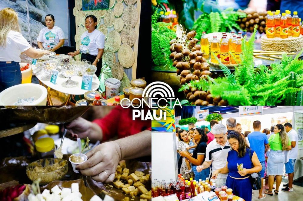 Edição 2025 da Feira dos Municípios irá destacar potencialidades do Piauí