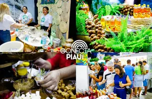 Edição 2025 da Feira dos Municípios irá destacar potencialidades do Piauí (Foto: Reprodução)