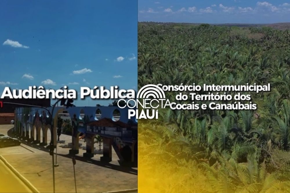 Esperantina realiza audiência sobre adesão ao Consórcio dos Cocais e Carnaúbas