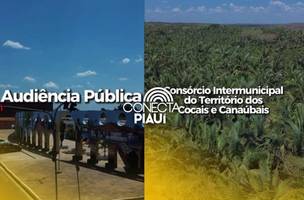 Esperantina realiza audiência sobre adesão ao Consórcio dos Cocais e Carnaúbas (Foto: Reprodução) Esperantina realiza audiência sobre adesão ao Consórcio dos Cocais e Carnaúbas (Foto: Reprodução)