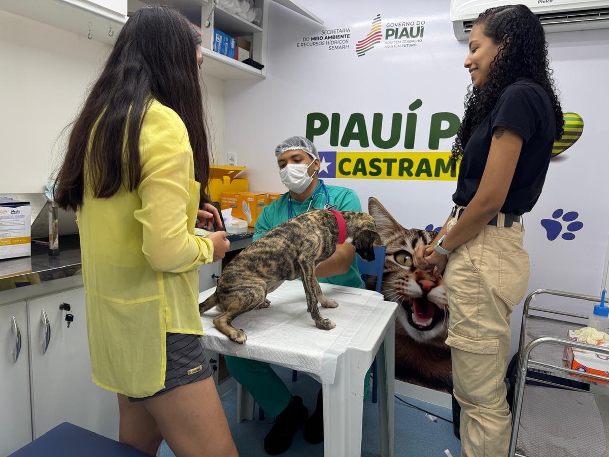 Hugo Napoleão recebe o Castramóvel e realiza mais de 30 castrações gratuitas