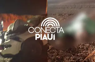 Idoso morre atropelado na cidade de União (Foto: Reprodução)