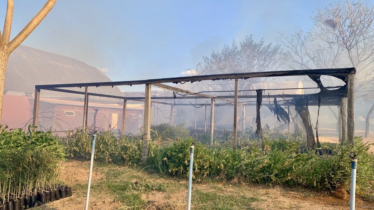 Incêndio atinge instalações do IFPI de Oeiras e causa prejuízos à instituição