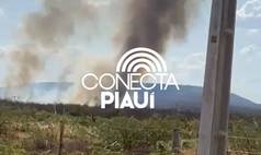 Incêndio atinge área de preservação após capotamento de veículo em Parnaguá