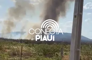 Incêndio atinge reserva de área após capotamento de veículo em Parnaguá (Foto: Reprodução)