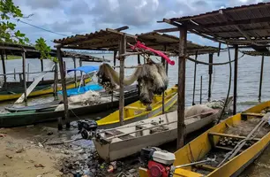 Início do defeso da piracema restringe pesca comercial no país (Foto: Gésio Passos/Agência Brasil)