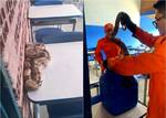 Jiboia é encontrada em cima de carteira em escola de Parnaíba
